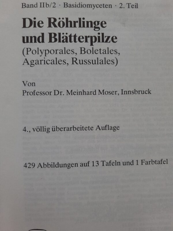 Kleine Kryptogamenflora, Röhrlinge und Blätterpilze - H. Gams – Bild 2