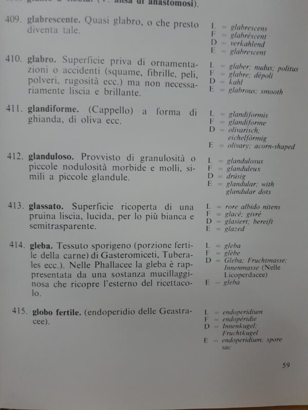 Glossario Micologico in cinque Lingue - G. Lazzari – Bild 3