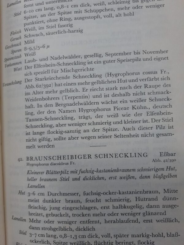 Pilzbuch der Büchergilde - Julius Peter – Bild 3